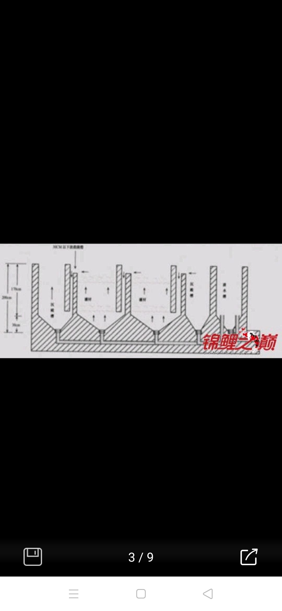 鱼池建造 观赏鱼论坛 第1张