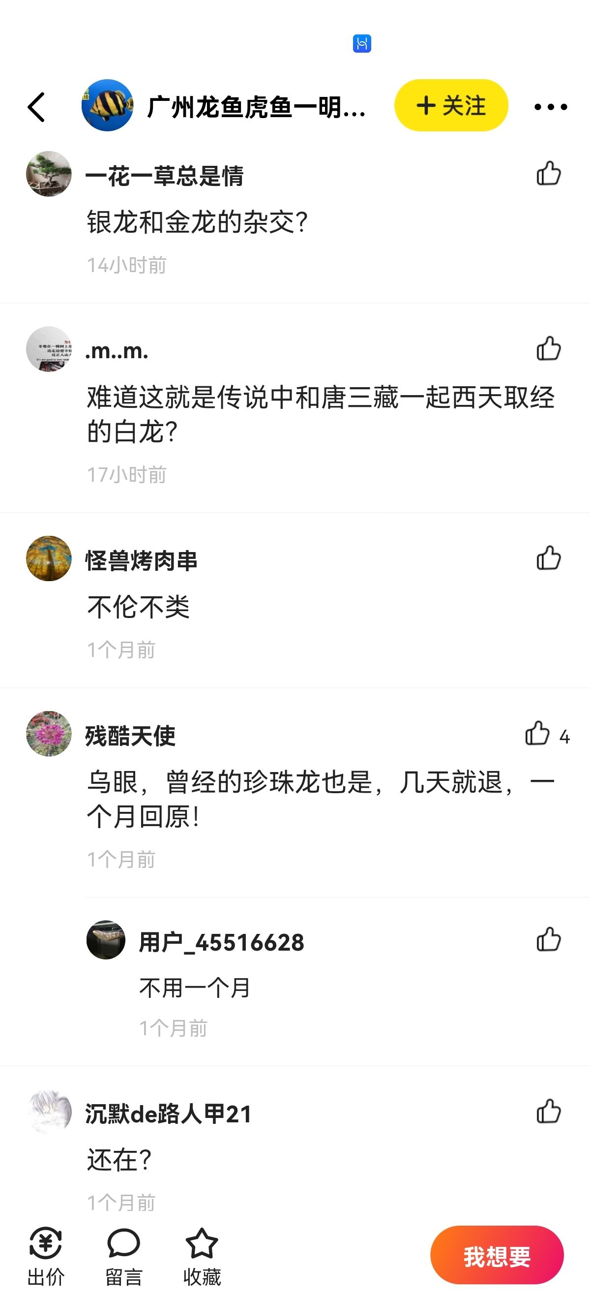 龙鱼可以漂白吗？ 观赏鱼论坛 第1张