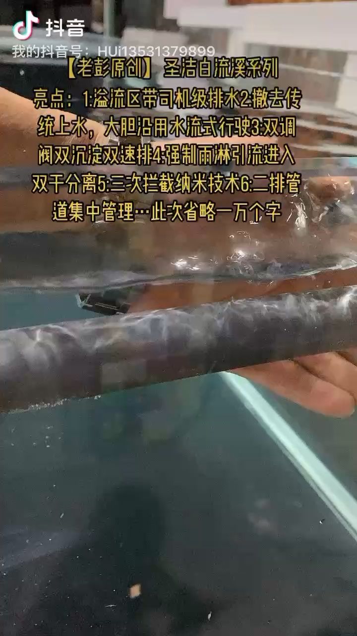 术有专攻，业精于勤 观赏鱼论坛