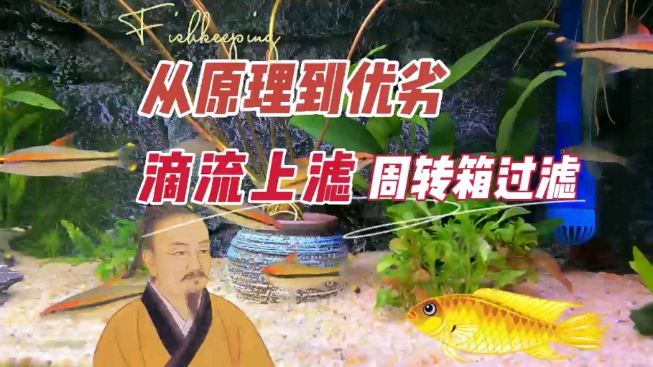 鱼缸滴流上滤周转箱过滤 观赏鱼论坛