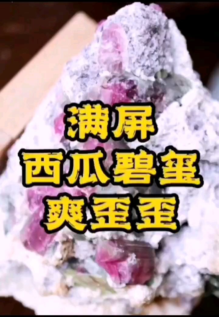 西瓜碧玺 观赏鱼论坛