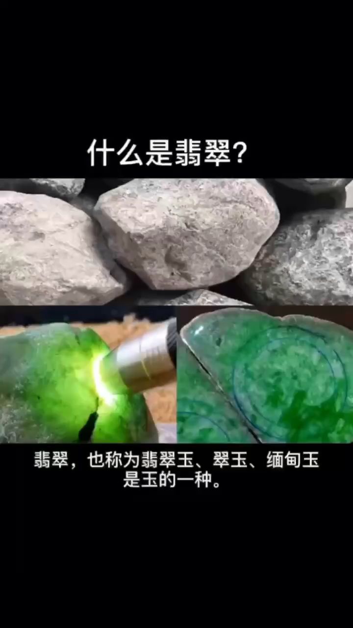 什么是翡翠？ 观赏鱼论坛