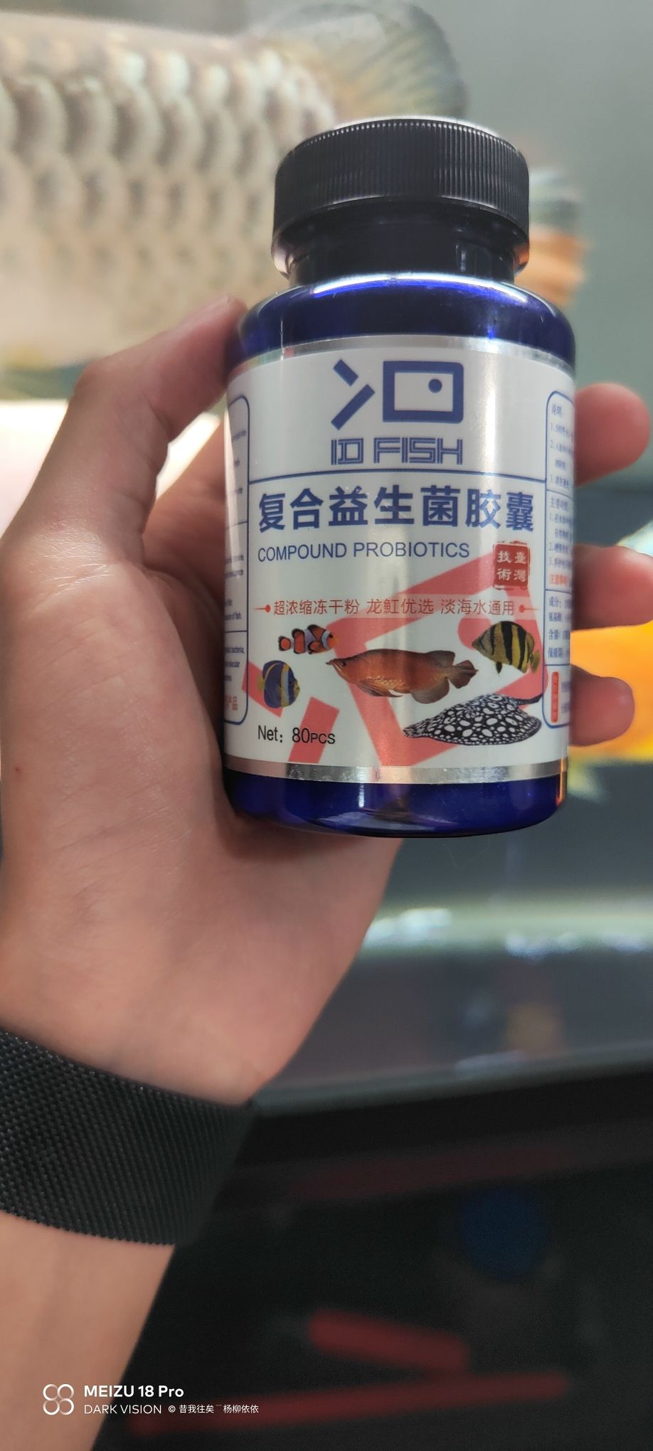 智鱼三胞胎 观赏鱼论坛 第2张