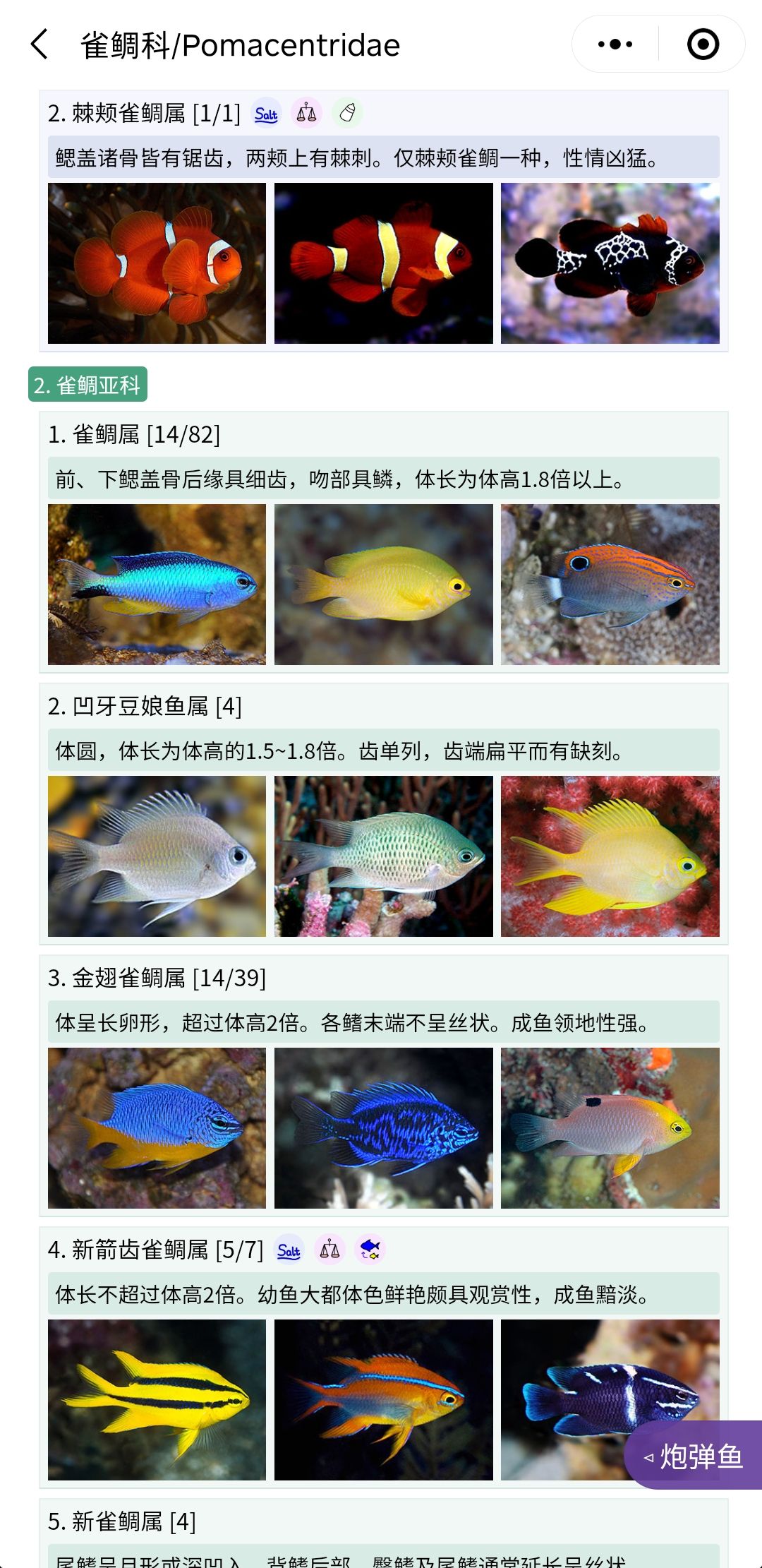 推荐一个好用的海水鱼图鉴《水族名录》 观赏鱼论坛 第2张