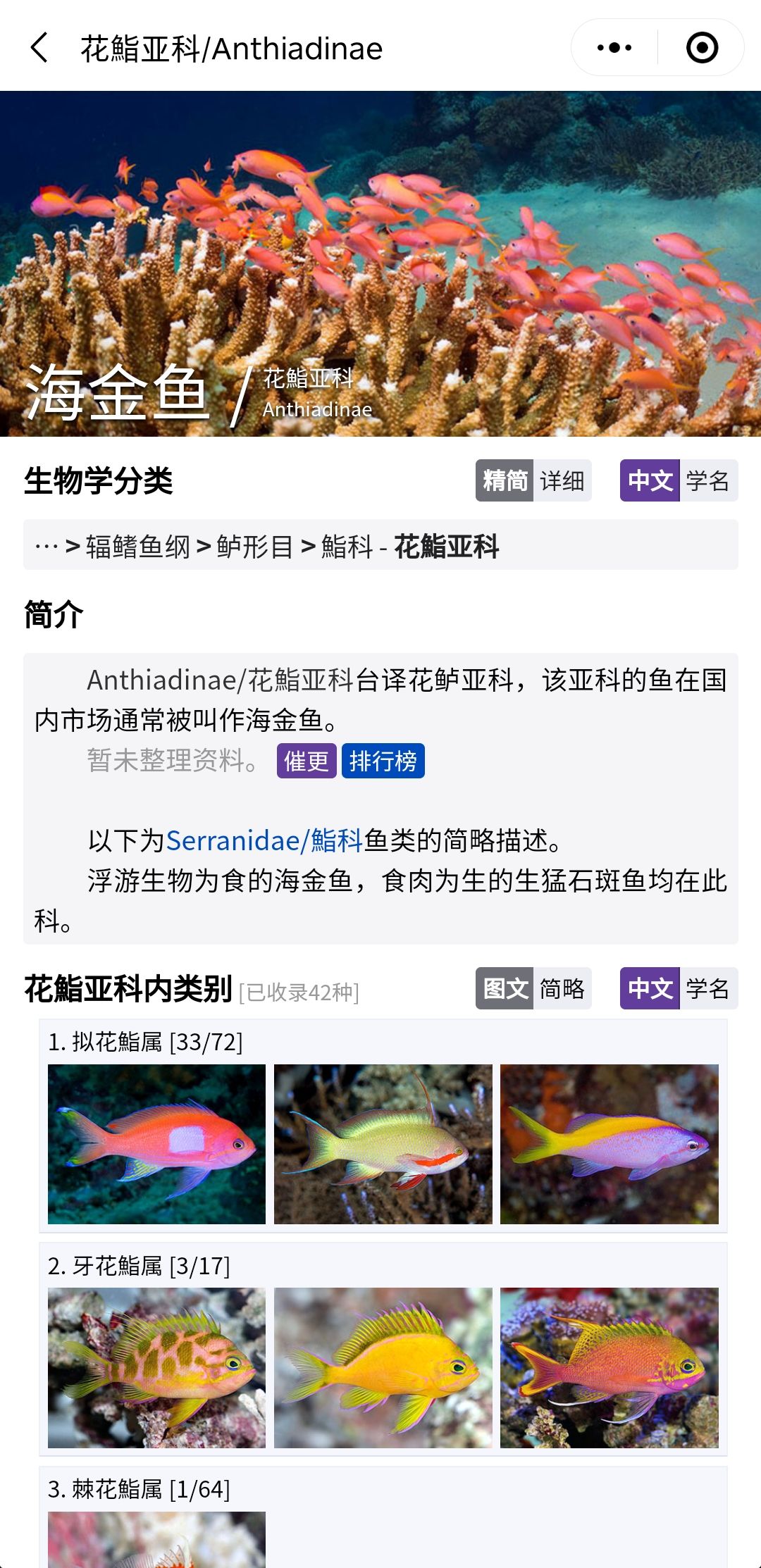 推荐一个好用的海水鱼图鉴《水族名录》 观赏鱼论坛 第1张