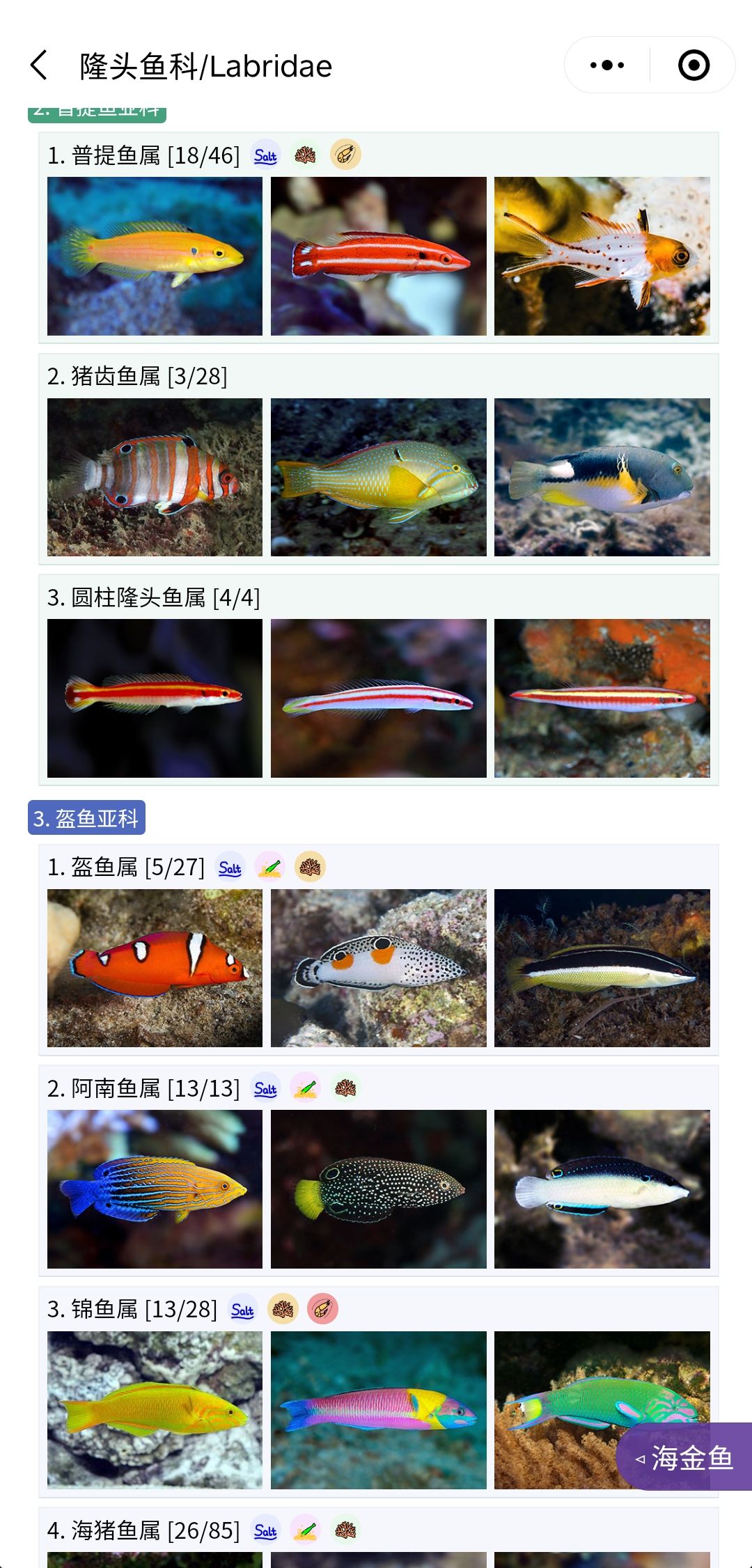 推荐一个好用的海水鱼图鉴《水族名录》 观赏鱼论坛 第4张