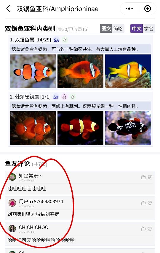 推荐一个好用的海水鱼图鉴《水族名录》 观赏鱼论坛 第5张