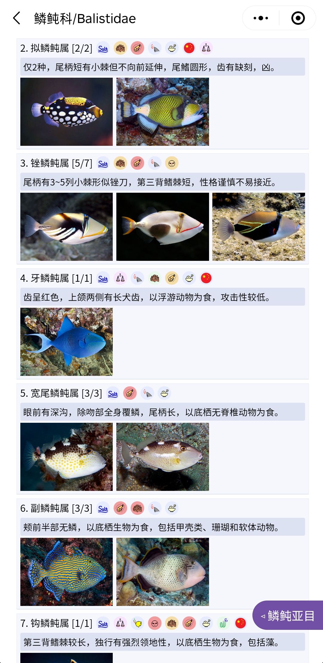 推荐一个好用的海水鱼图鉴《水族名录》 观赏鱼论坛 第7张