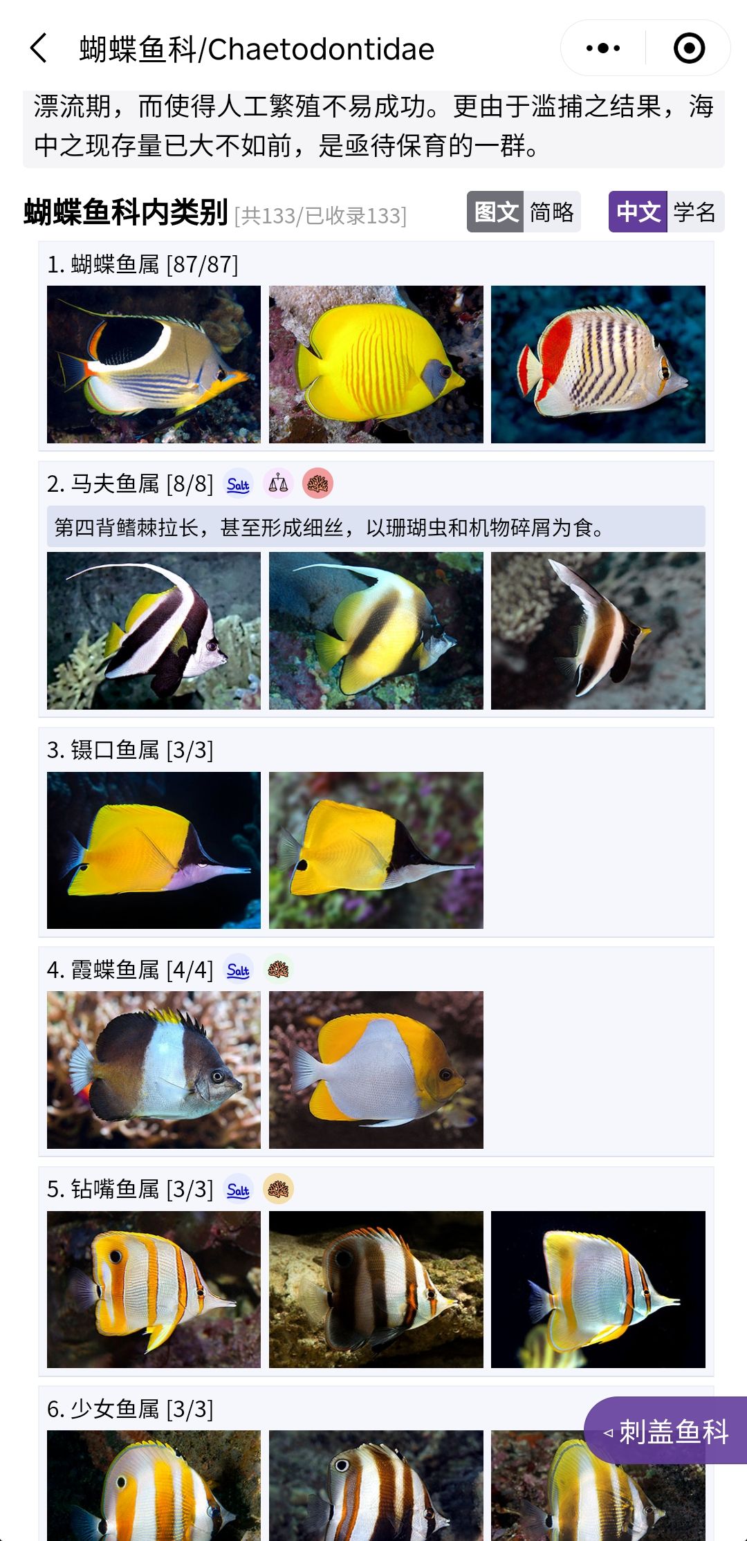 推荐一个好用的海水鱼图鉴《水族名录》 观赏鱼论坛 第6张