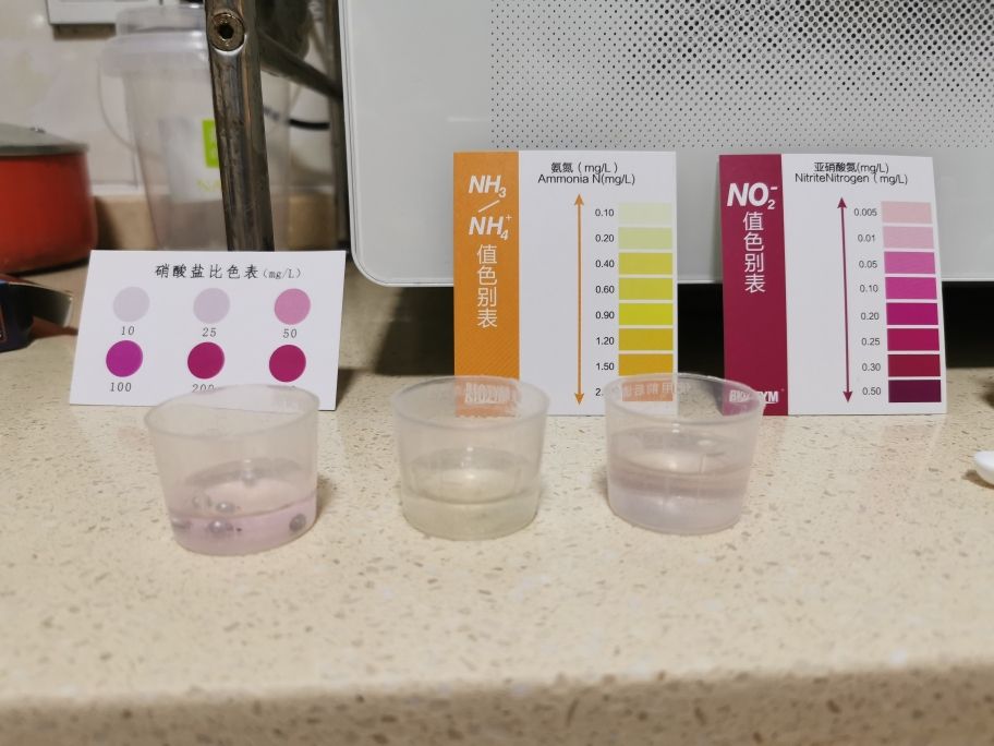 怎么样解决化学性水蒙？ 观赏鱼论坛 第4张