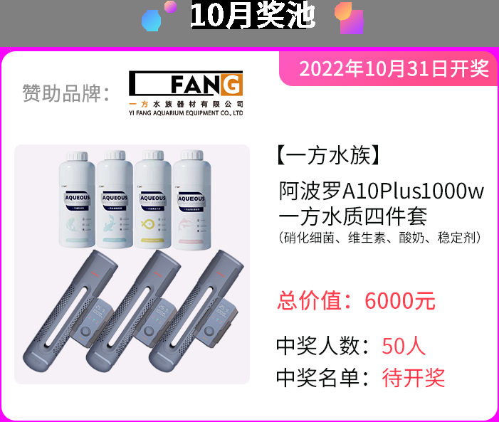 10月积分夺宝独家赞助：一方水族！ 观赏鱼论坛 第8张