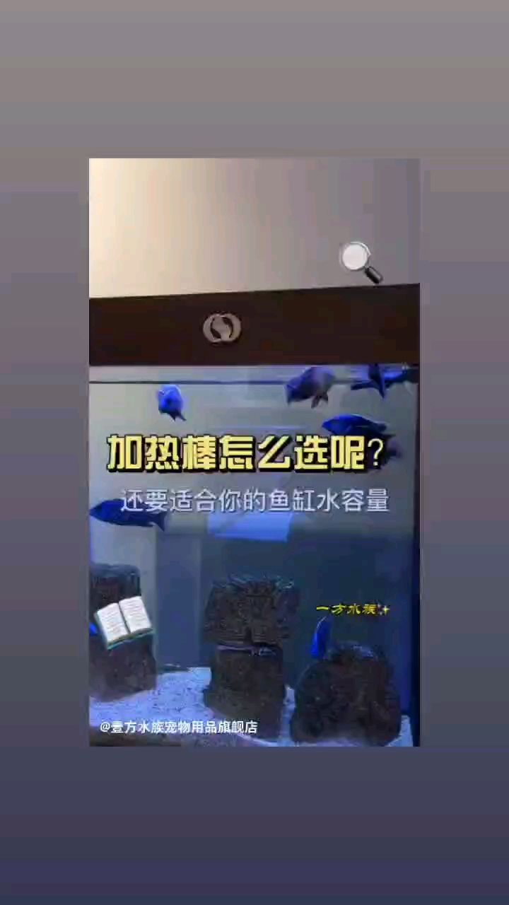 一方水族：怎么挑选加热棒 观赏鱼论坛