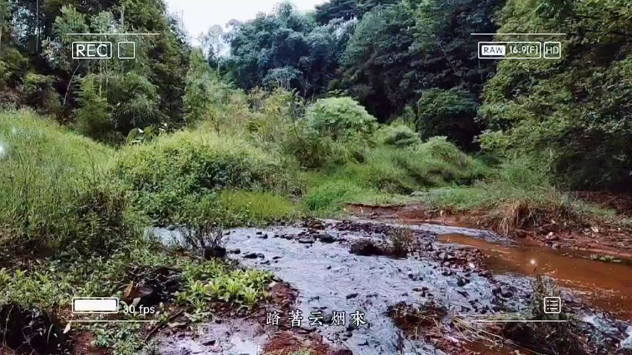 今日野采 观赏鱼论坛