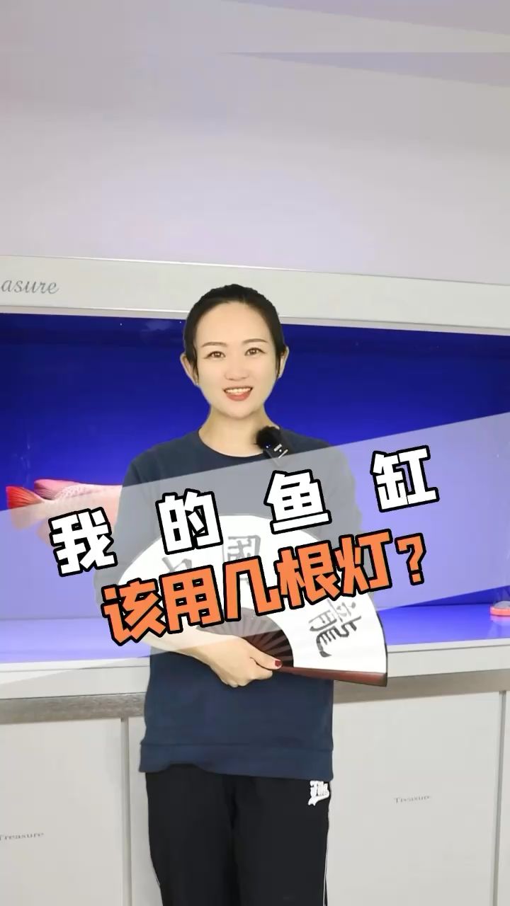 你的鱼缸有几根灯？ 观赏鱼论坛