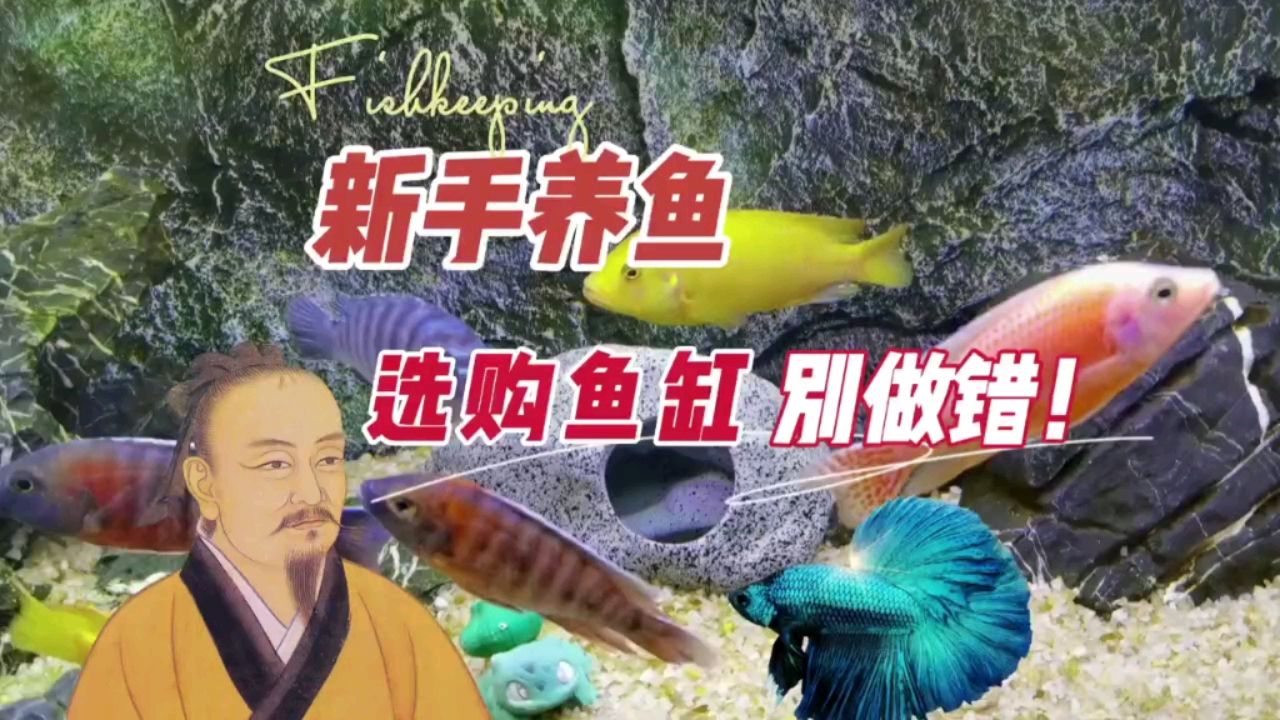 新手很可能选购配置鱼缸时，就做错了 观赏鱼论坛