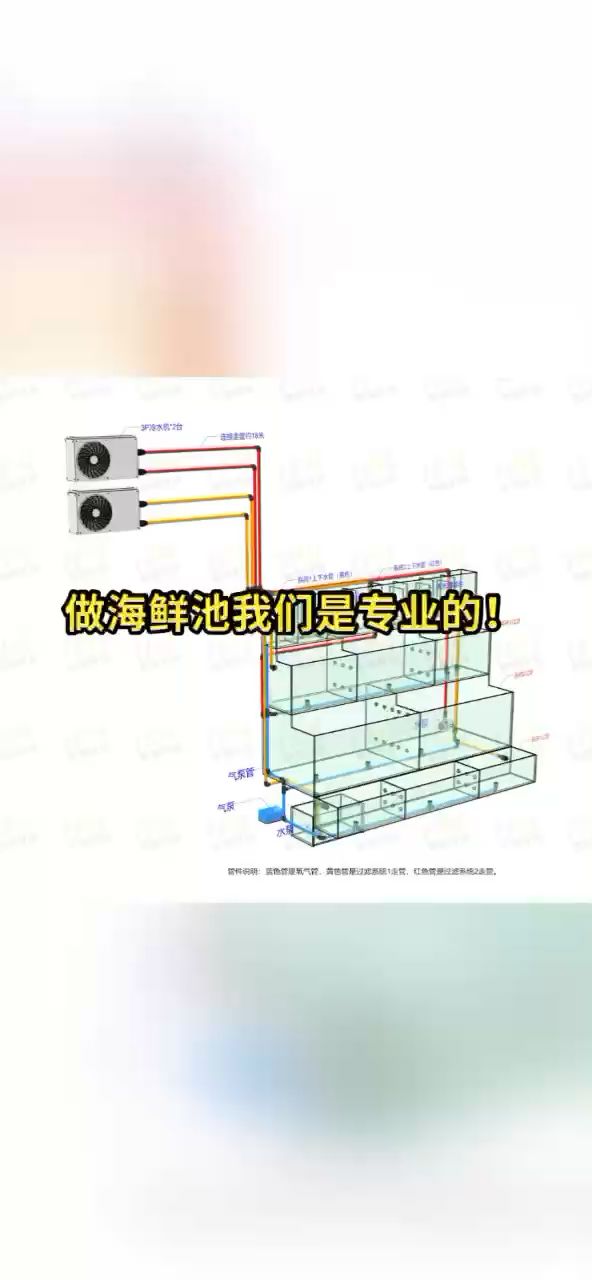 做海鲜池我们是认真的！ 观赏鱼论坛