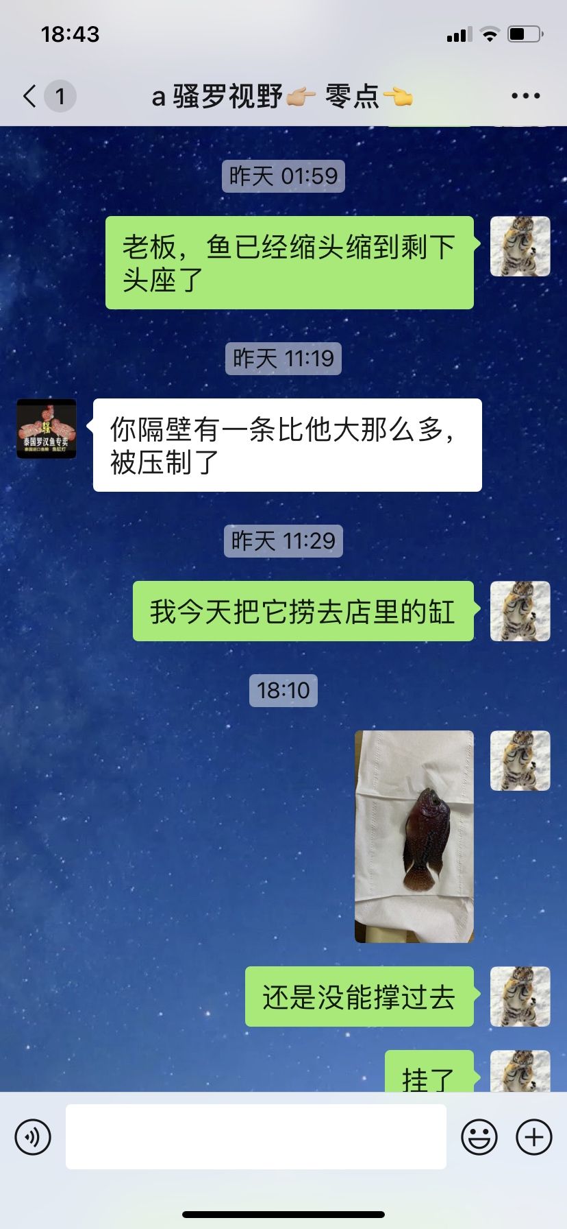 鱼缸是立体图形吗 水族问答 第7张