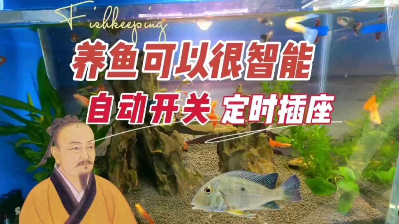 养鱼很智能，自动开关鱼缸灯靠定时插座 观赏鱼论坛