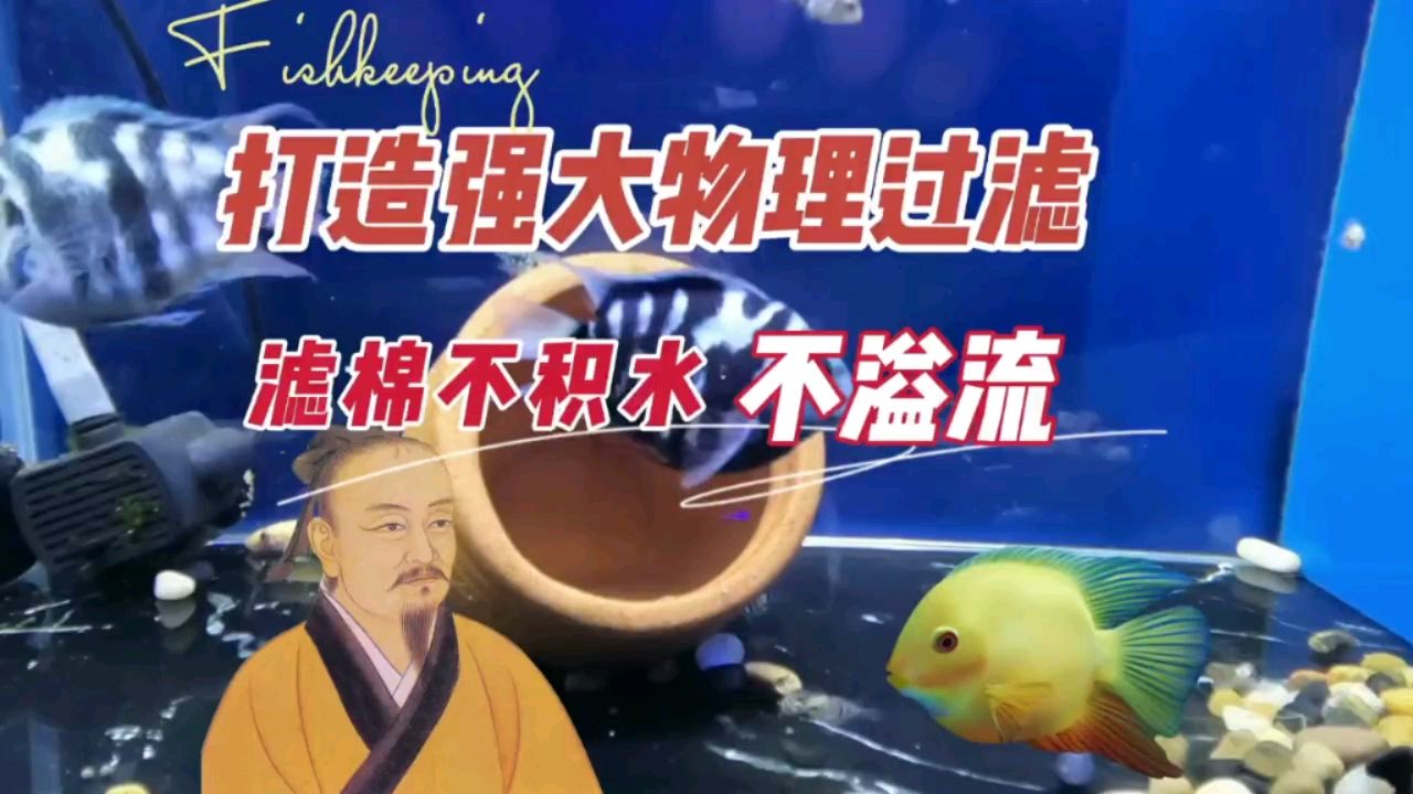 强大鱼缸物理过滤，滤棉不积水、不溢流 观赏鱼论坛