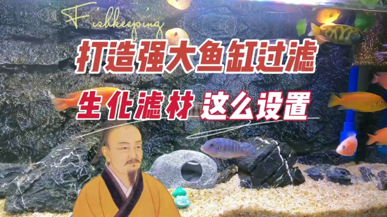 强大鱼缸过滤，滤材和生化过滤这样设置 观赏鱼论坛