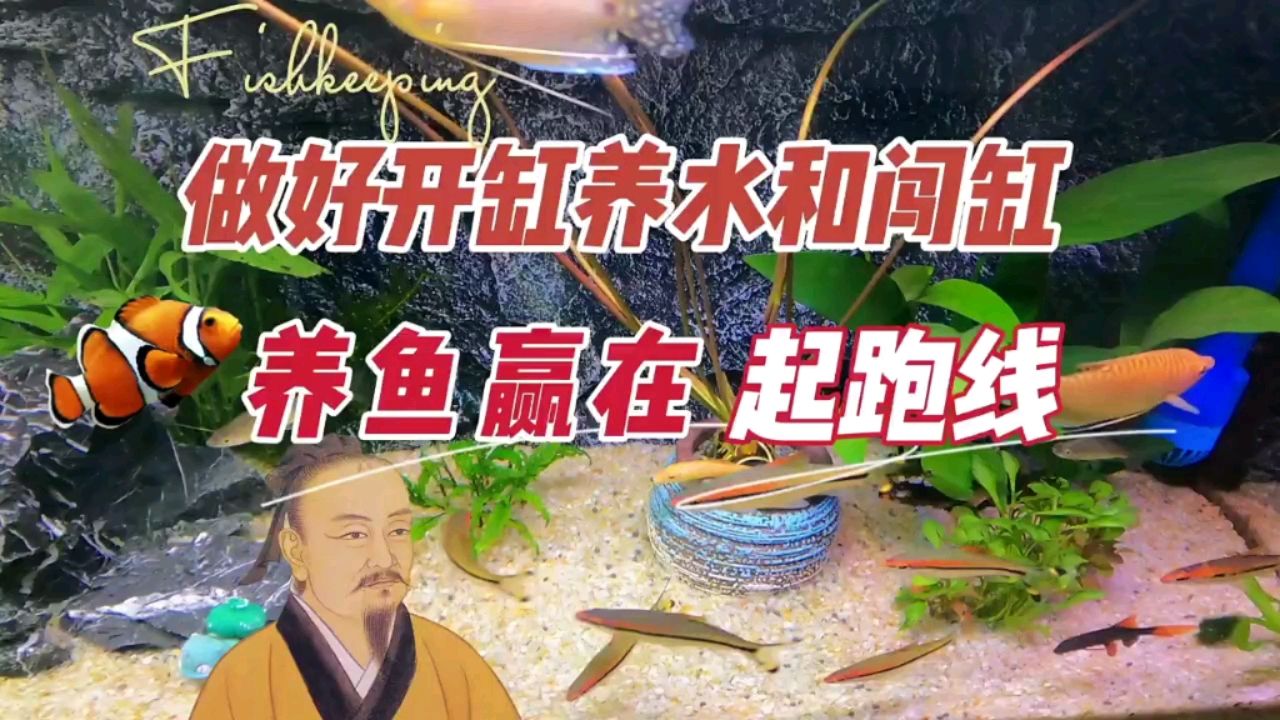 做好开缸养水和闯缸，养鱼别输在起跑线 观赏鱼论坛