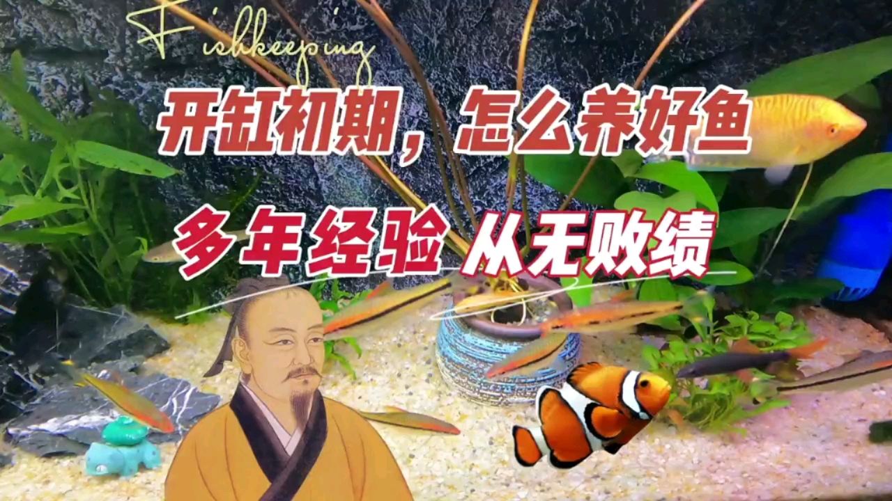 沙漠造景鱼缸设计（ 沙漠 造景） 创宁水族