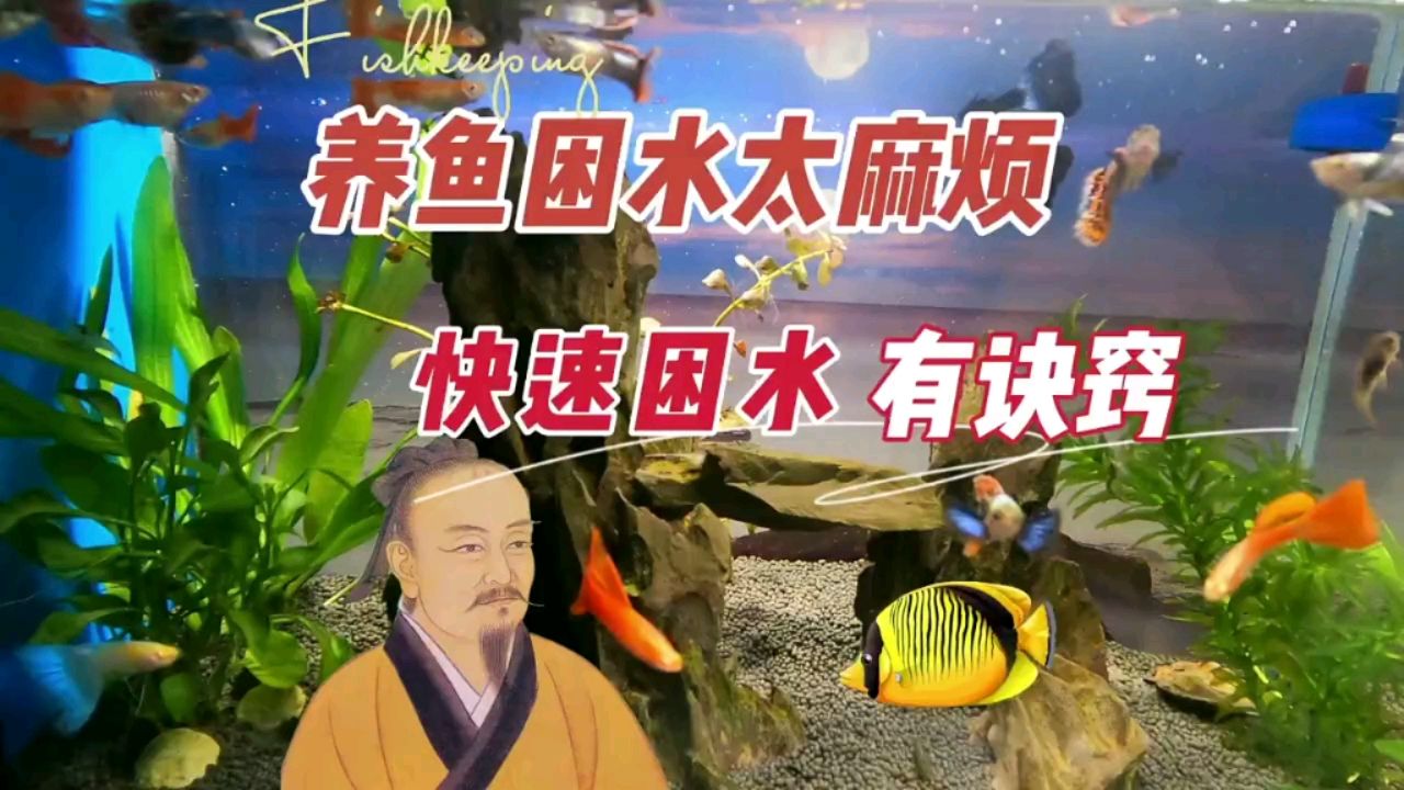 养鱼困水太麻烦，快速困水有诀窍 观赏鱼论坛