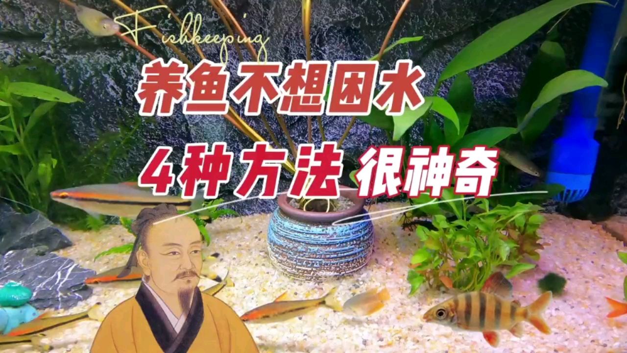 养鱼不想困水，怎么换水，4种方法神奇 观赏鱼论坛