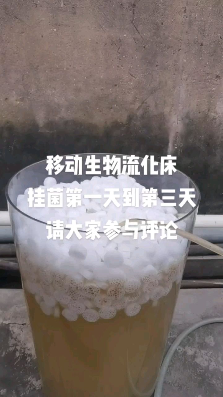 佛山市顺德区大良顺生水族器材店 全国水族馆企业名录