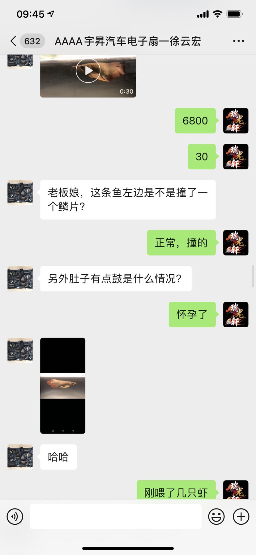 真实性 观赏鱼论坛 第6张