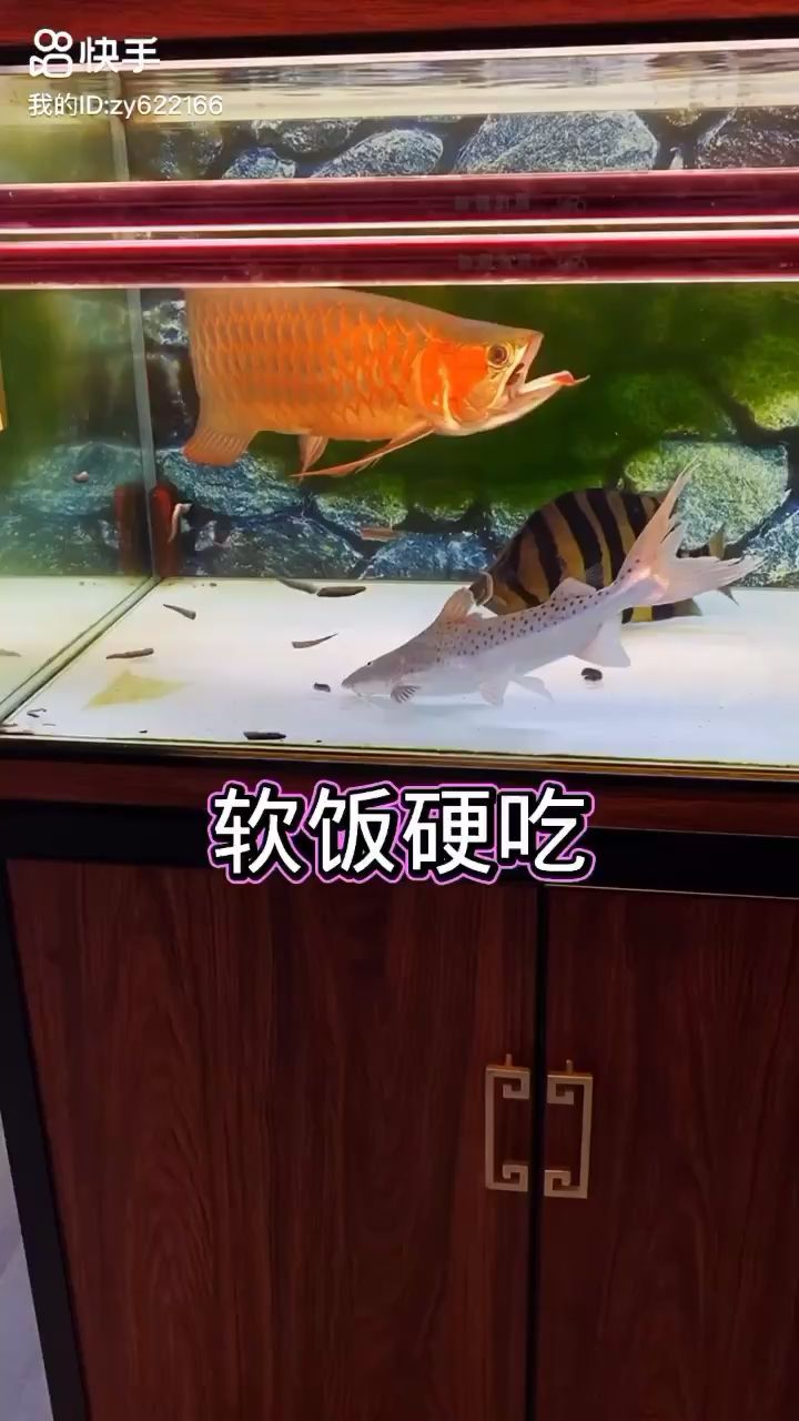 侧灯第三个月