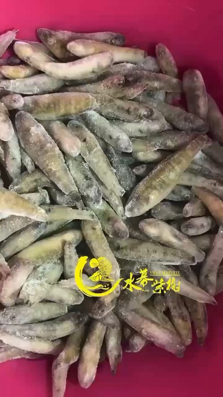 建议食物 吃多少化多少