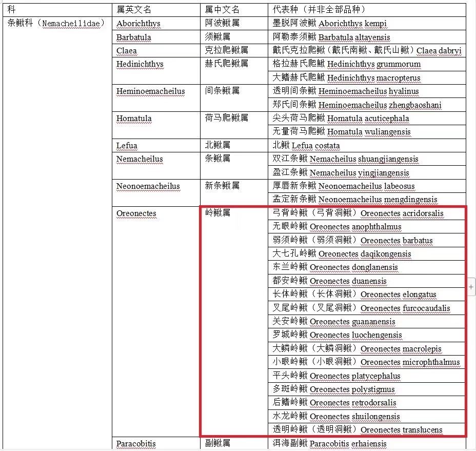 条鳅科岭鳅属鱼类汇总