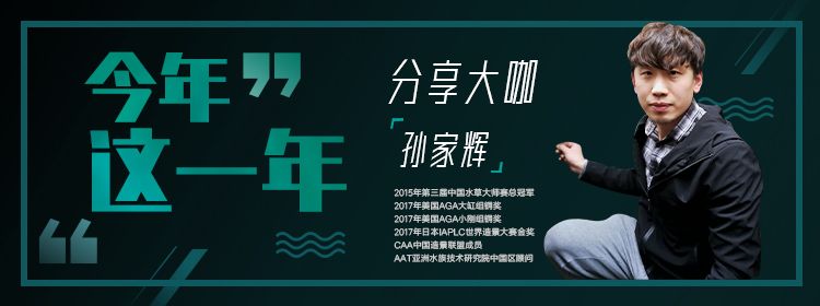 造景大咖孙家辉和你分享，2021这一年！ 观赏鱼论坛 第1张