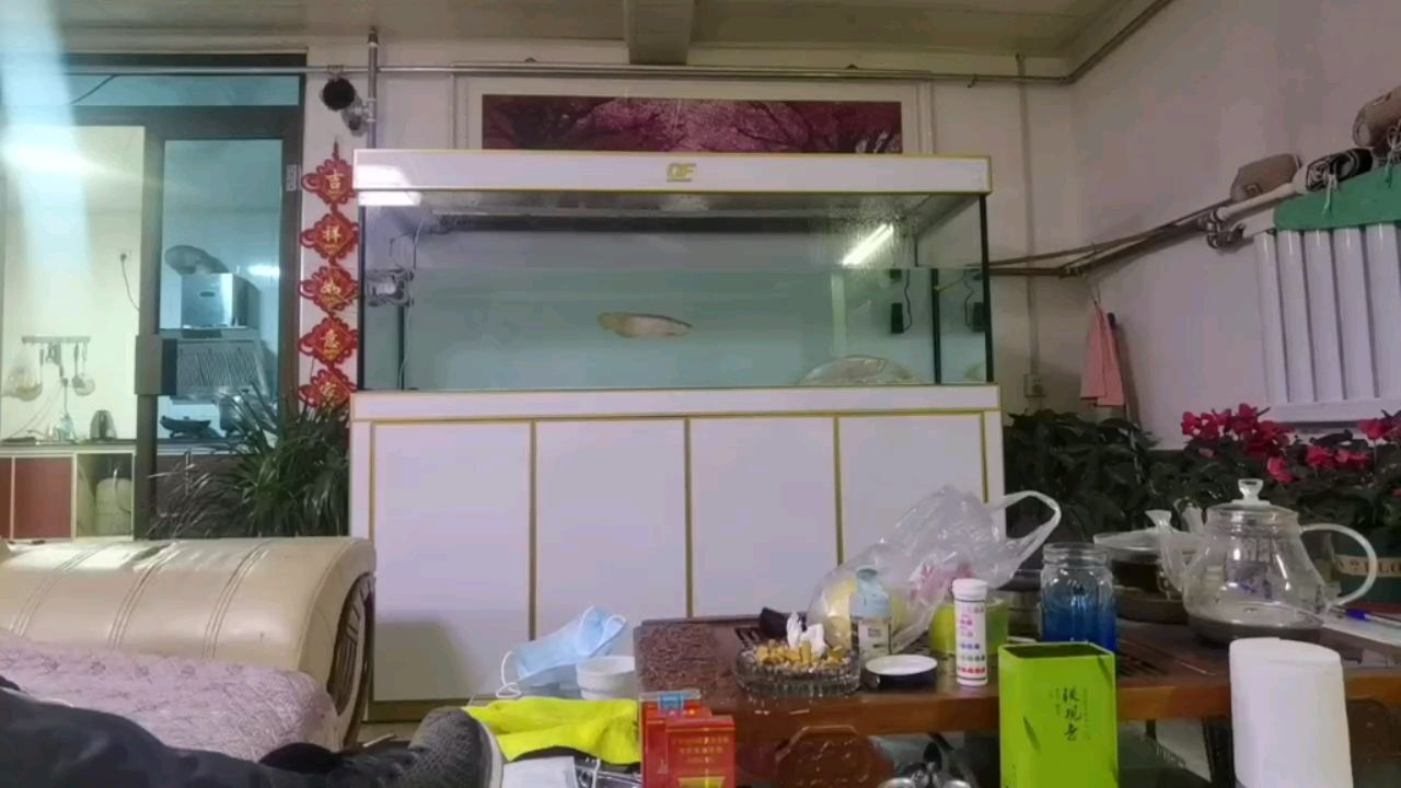 广州市荔湾区伟亮水族店 全国水族馆企业名录