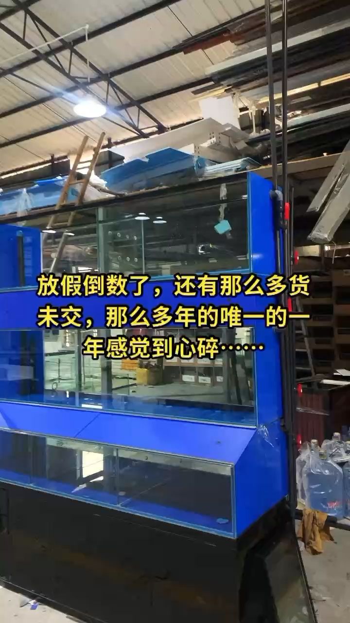 放假倒数了… 还有那么多货未交…… 观赏鱼论坛