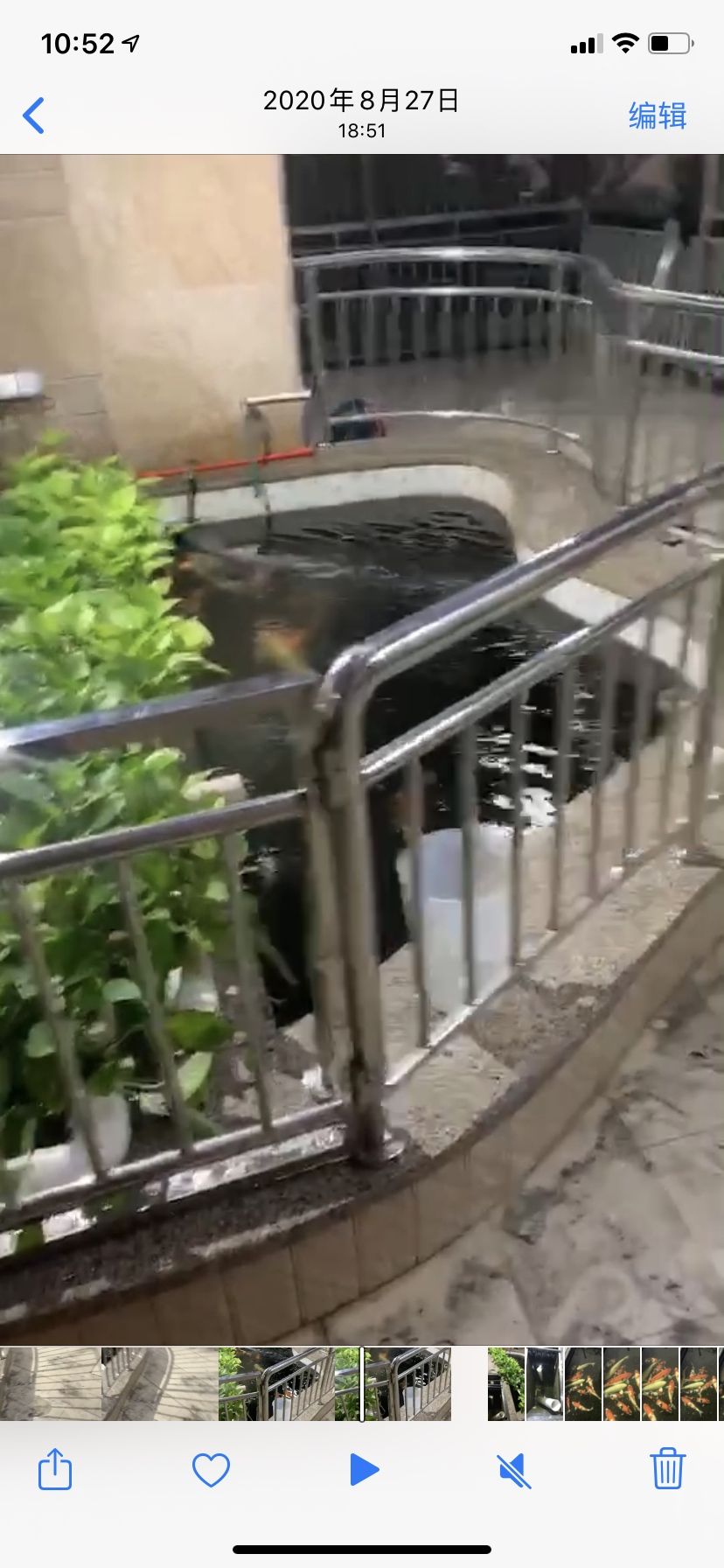 自制植物水道