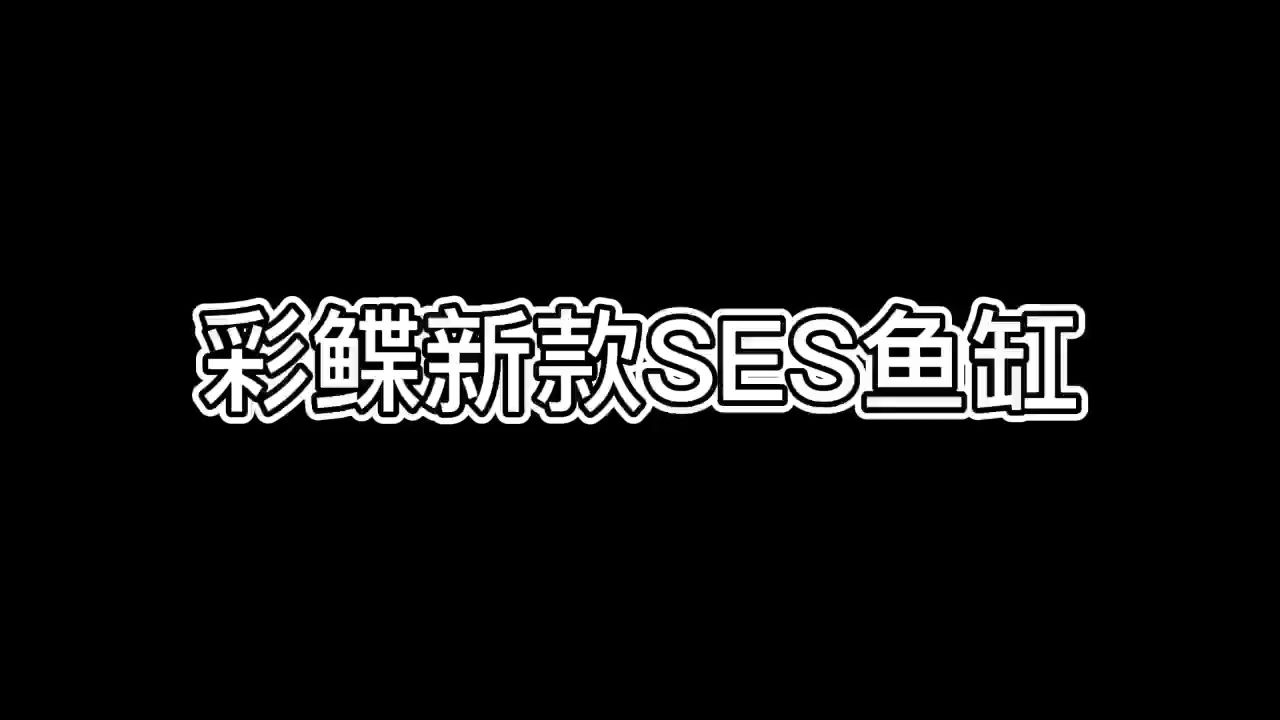 彩鲽新款SES鱼缸 观赏鱼论坛