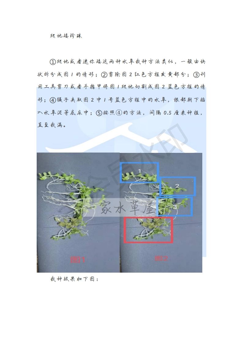 辽宁鱼缸制作哪家好啊（辽宁鱼缸制作哪家好啊） 短身红龙鱼