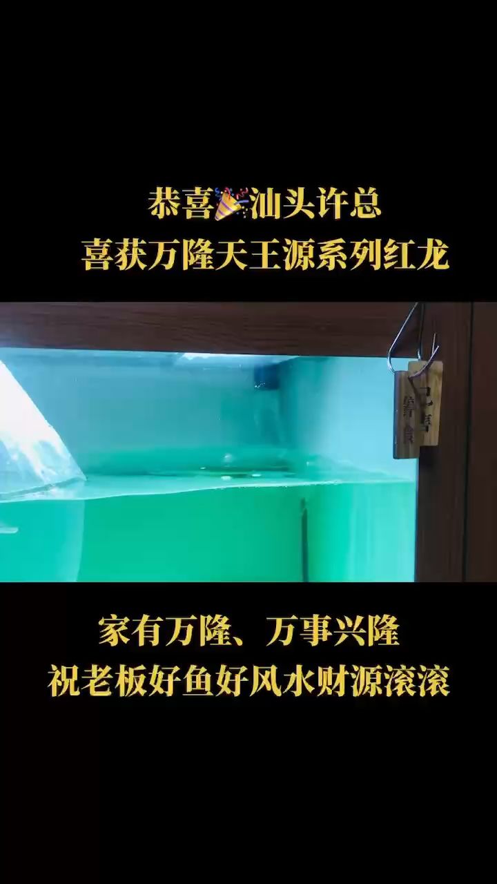 我们不一样！ 观赏鱼论坛 第1张