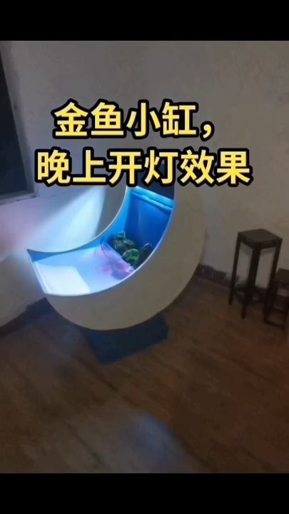 造型独特的一款金鱼缸 观赏鱼论坛