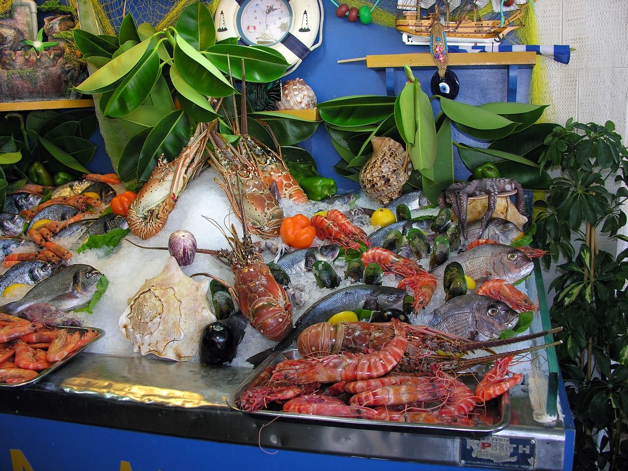 石槽改造鱼缸图片（石槽鱼缸用什么过滤） 巴西亚鱼