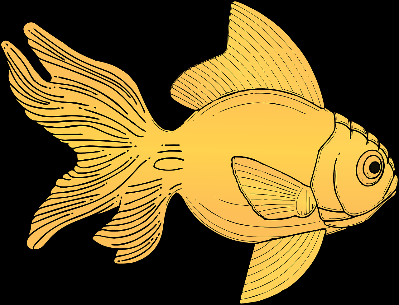 海洋生态鱼缸图片大全集欣赏（ 海洋智能生态缸） 金龙福龙鱼