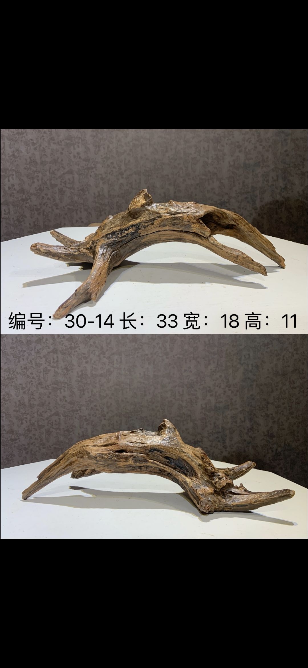 教大家认识好沉木 观赏鱼论坛 第3张