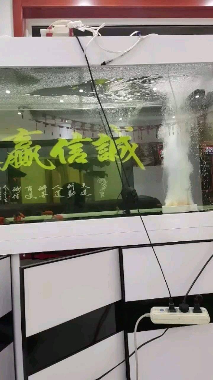 这么多气泡，怎么办呀，