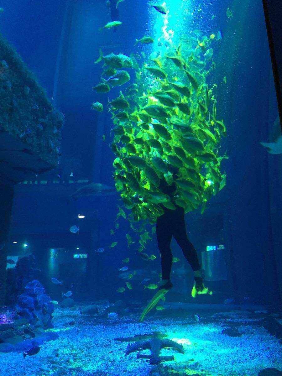 营口水族批发市场地址电话号码(营口水族批发市场地址电话号码查询)