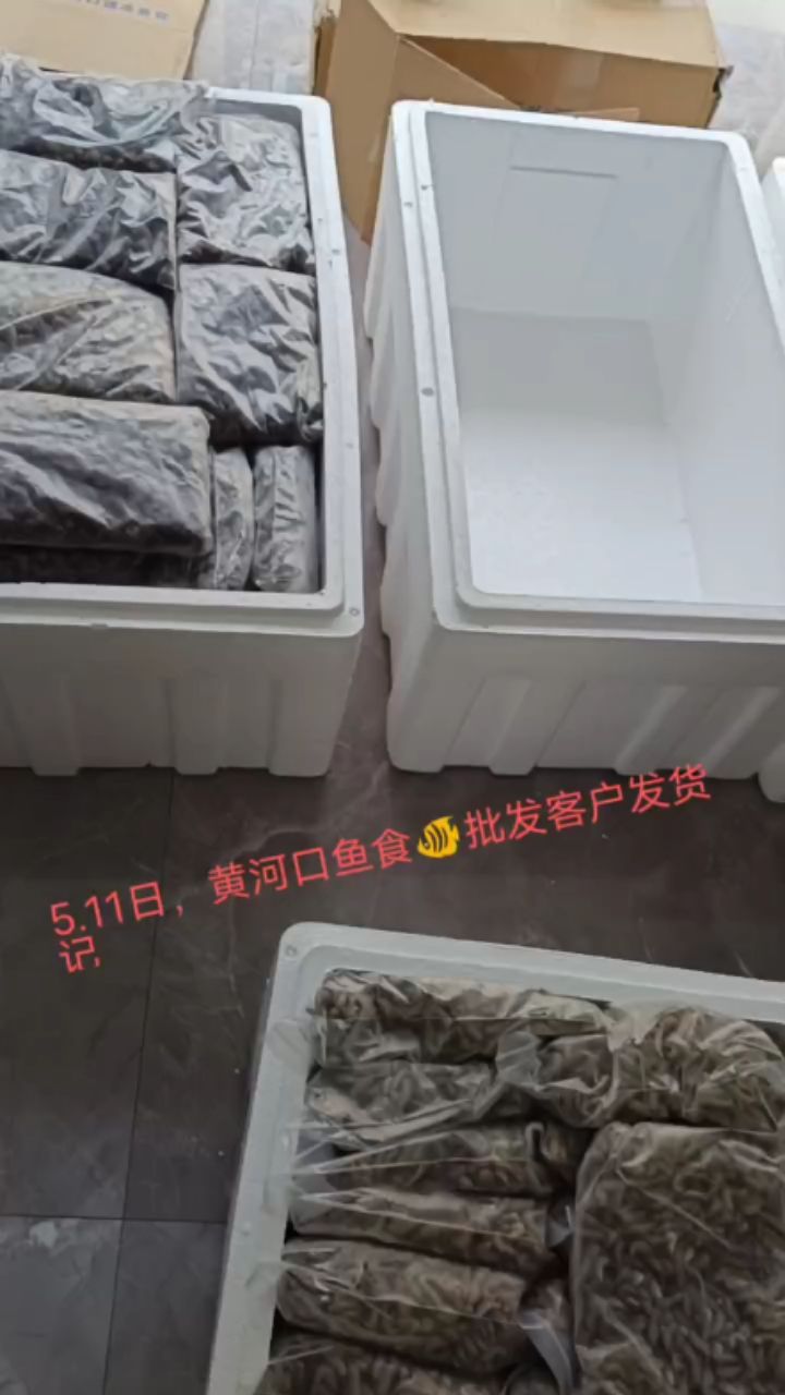 5.11日黄河口鱼食店发货记 观赏鱼论坛