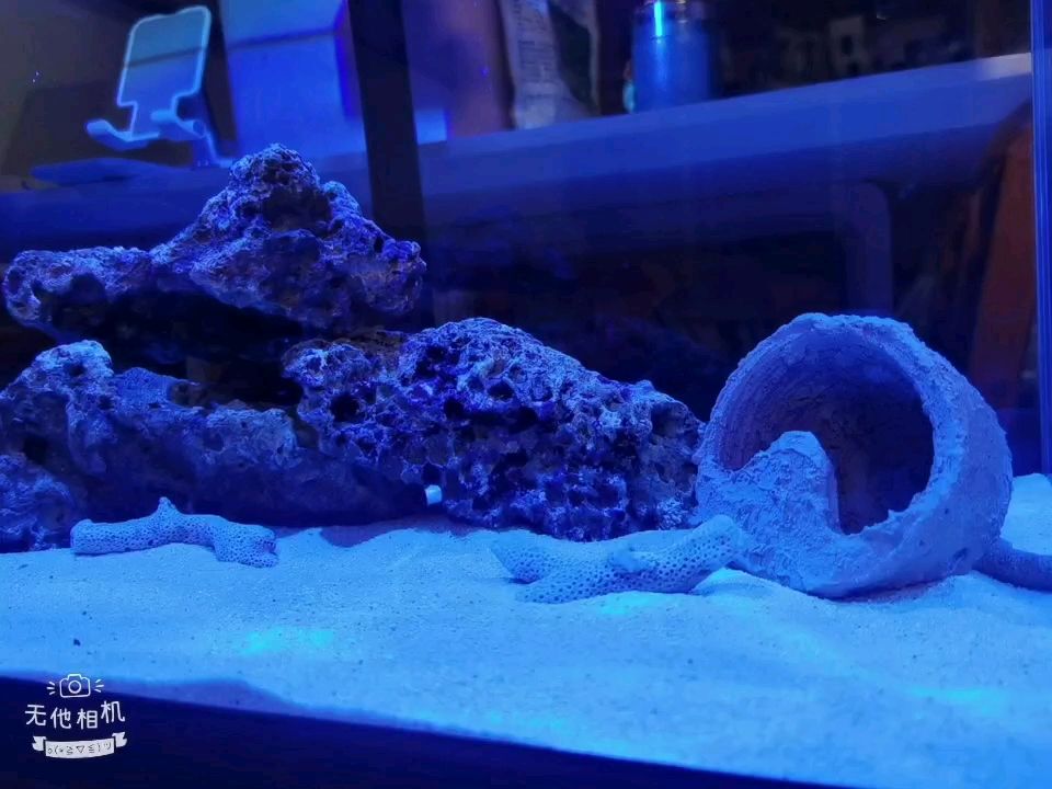 小海底奇妙夜2 观赏鱼论坛