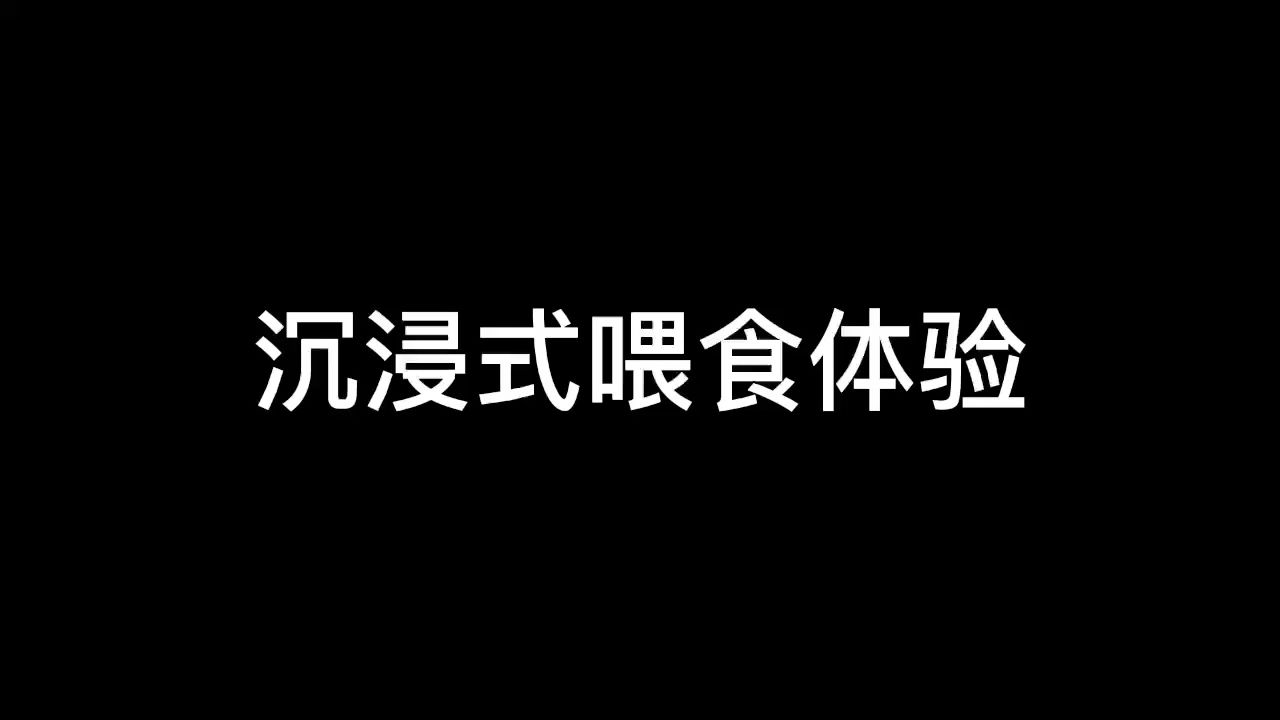 沉浸式喂食体验 观赏鱼论坛 第1张