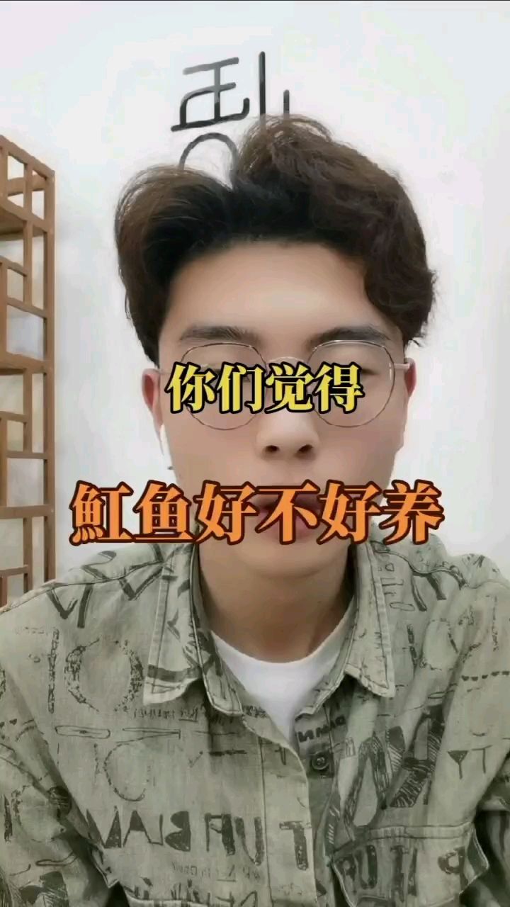 鱼友们集合啦，魟鱼干货 观赏鱼论坛